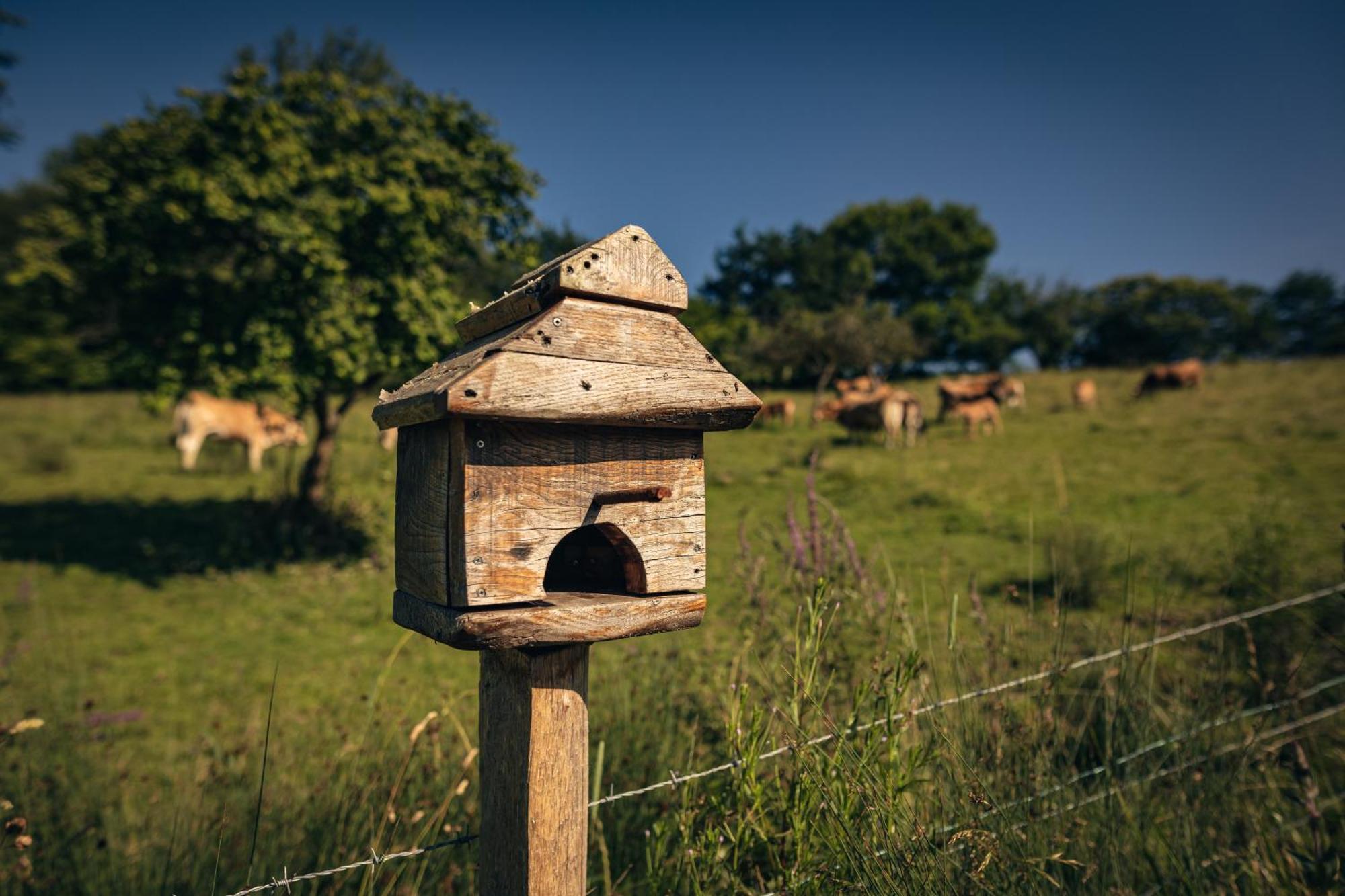 Finca La Naguada Casa Rural En Asturias Beloncio Luaran gambar
