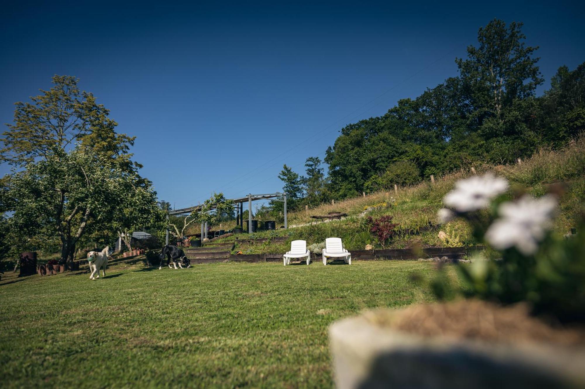 Finca La Naguada Casa Rural En Asturias Beloncio Luaran gambar