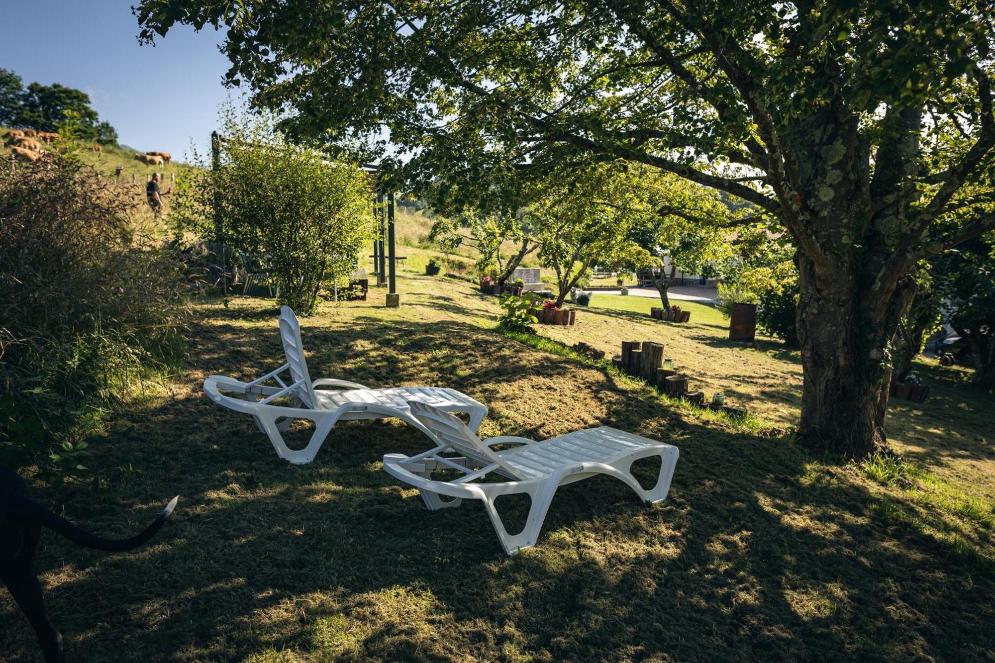 Finca La Naguada Casa Rural En Asturias Beloncio Luaran gambar