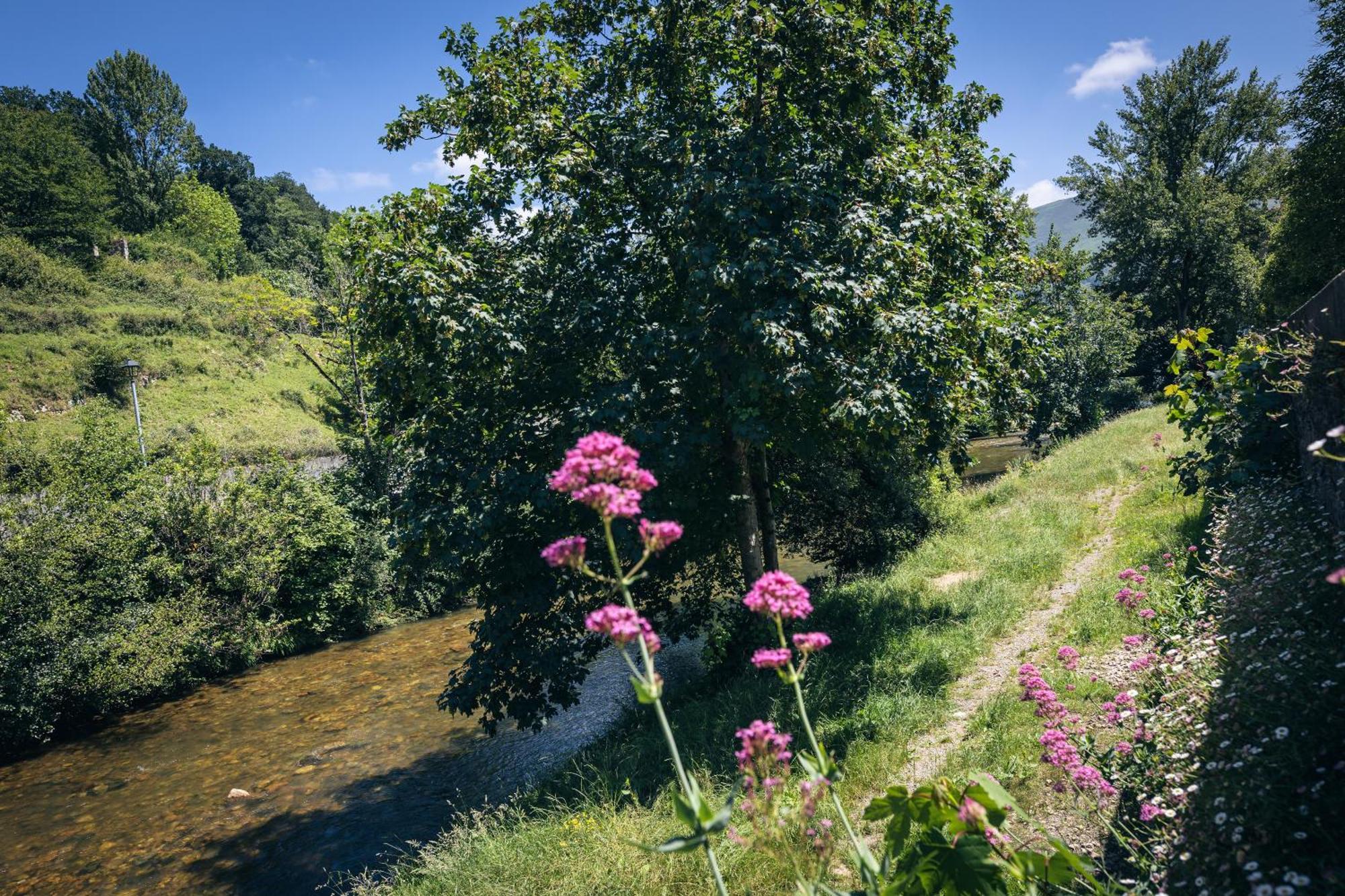 Finca La Naguada Casa Rural En Asturias Beloncio Luaran gambar